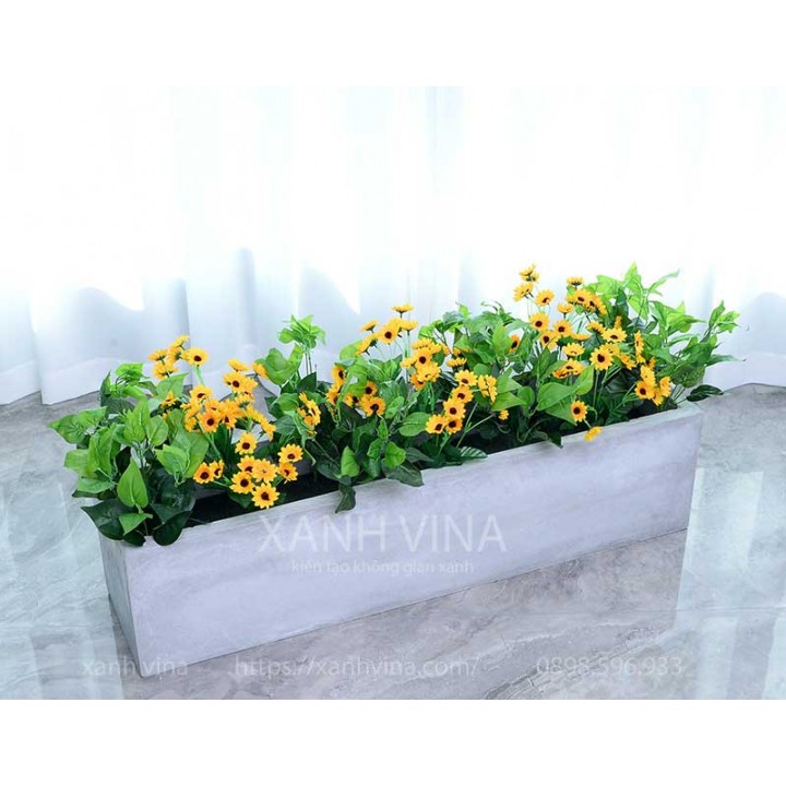 Hàng rào lá hoa hướng dương